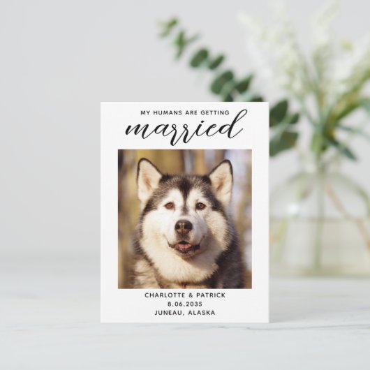 私の人間はデートを除いて結婚している犬を得ている 案内ポストカード (スタンド正面)