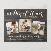 私の人間はデートを除いて結婚している犬を得ている 案内ポストカード (正面)