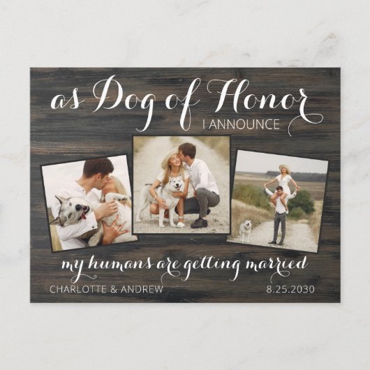 私の人間はデートを除いて結婚している犬を得ている 案内ポストカード (正面)