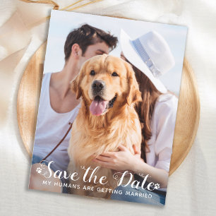 私の人間はデートを除いて結婚している犬を得ている 案内ポストカード