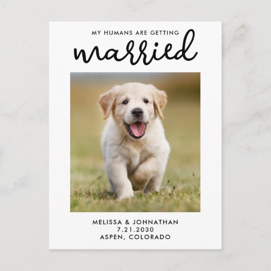 私の人間はデートを除いて結婚している犬を得ている 案内ポストカード (正面)