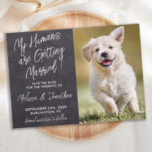 私の人間はペットの写真素朴犬と結婚する セーブザデート