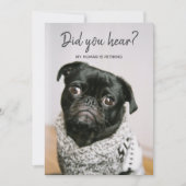 私の人間は引退している犬の写真の退職パーティー 招待状 (正面)