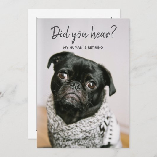 私の人間は引退している犬の写真の退職パーティー 招待状 (正面/裏面)