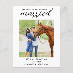 私の人間は日付を除いて結婚している馬を取得している 案内ポストカード