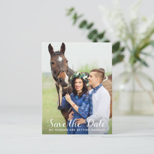 私の人間は日付を除いて結婚している馬を取得している 案内ポストカード (スタンド正面)