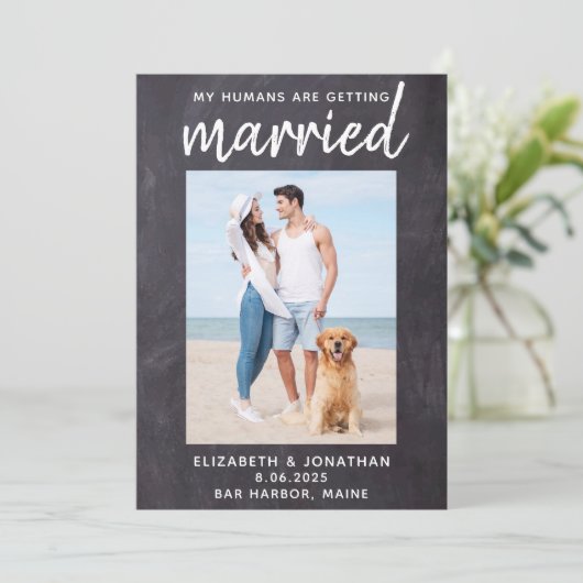 私の人間は犬と結婚素朴してい結婚る セーブザデート (スタンド正面)