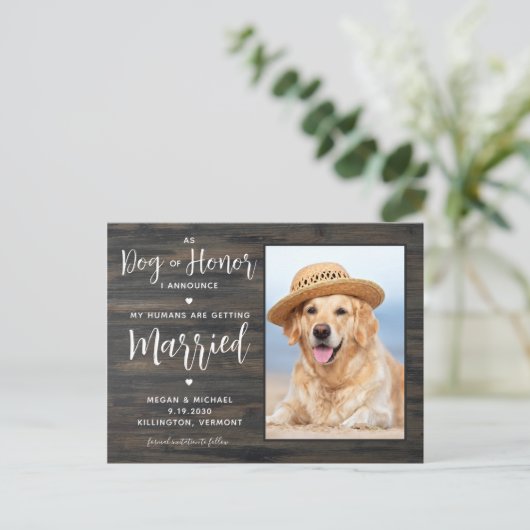 私の人間は犬と結婚素朴してい結婚る 案内ポストカード (スタンド正面)