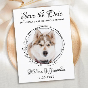 私の人間は犬ペットと結婚し結婚てい救る 案内ポストカード