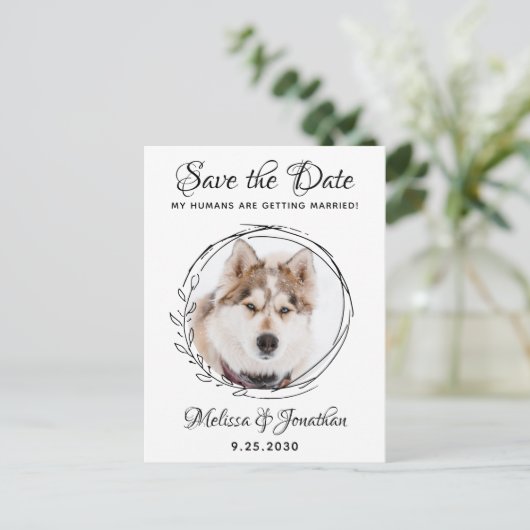 私の人間は犬ペットと結婚し結婚てい救る 案内ポストカード (スタンド正面)