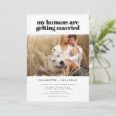 私の人間は結婚しおもしろいてい結婚る 招待状 (スタンド正面)