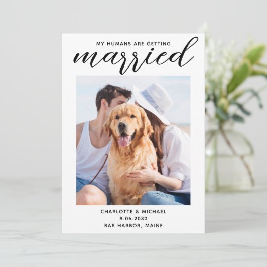 私の人間は結婚した犬の結婚写真を撮る セーブザデート (スタンド正面)