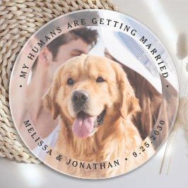 私の人間は結婚している婚約犬の写真 コースター