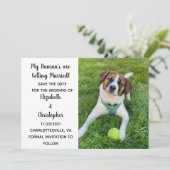 私の人間は結婚している犬の写真を取得している セーブザデート (スタンド正面)