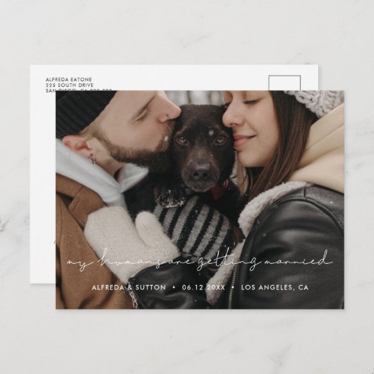 私の人間は結婚している犬の写真 案内ポストカード (正面/裏面)