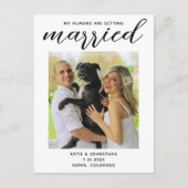 私の人間は結婚している – シンプル犬結婚の 案内ポストカード (正面)
