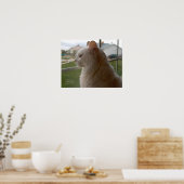 私の人間を待っている ポスター (キッチン)