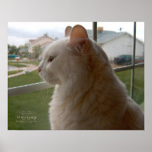 私の人間を待っている