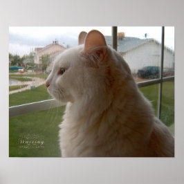 私の人間を待っている ポスター