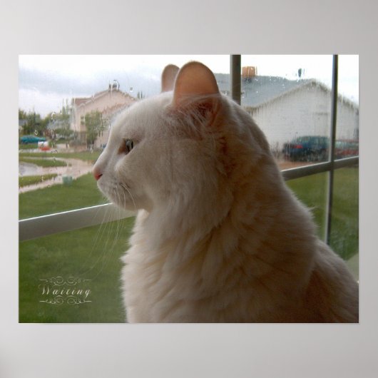 私の人間を待っている ポスター (正面)