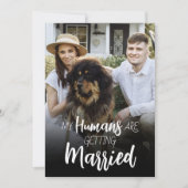 私の人間達が結婚する結婚式招待状 セーブザデート (正面)