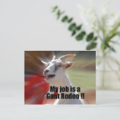 私の仕事はヤギのロデオヤギの写真 ポストカード (スタンド正面)