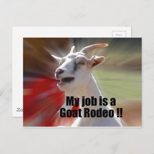 私の仕事はヤギのロデオヤギの写真 ポストカード (正面/裏面)