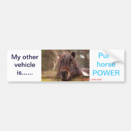 私の他の車---- バンパーステッカー