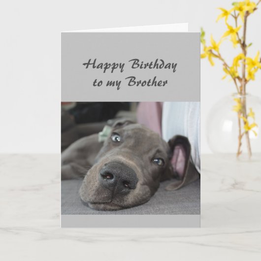 私の兄のおもしろい犬のユーモアにリラックス誕生日 カード (黄色い花)