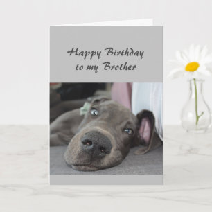 私の兄のおもしろい犬のユーモアにリラックス誕生日 カード