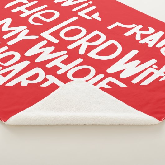 私の全ハート シェルパブランケット (3/4)