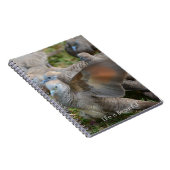 私の写真: カウアイ島の灰色の鳥 ノートブック (右側)