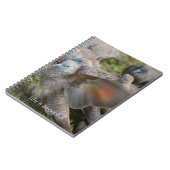 私の写真: カウアイ島の灰色の鳥 ノートブック (左側)