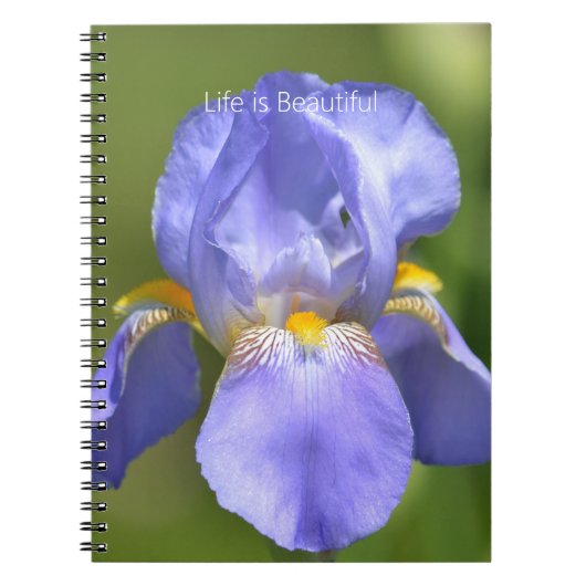 私の写真: 美しい紫色のアヤメの花 ノートブック (正面)