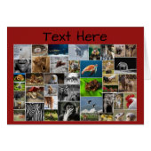 私の動物王国グリーティングカード、任意の大事な行事。 (正面横)