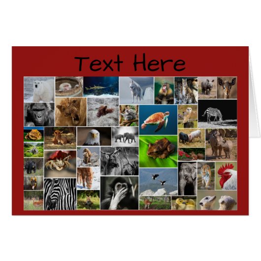 私の動物王国グリーティングカード、任意の大事な行事。 (正面横)