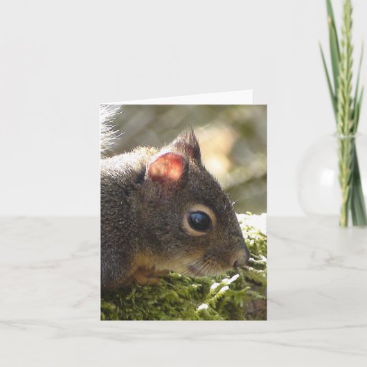 私の友人はファジー カード (正面)