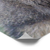 私の友人はファジー ポスター (角)