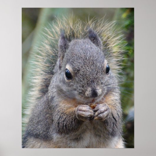 私の友人はファジー ポスター (正面)