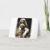 私の友人、ハゲタカカードがあることをありがとう サンキューカード (裏面)