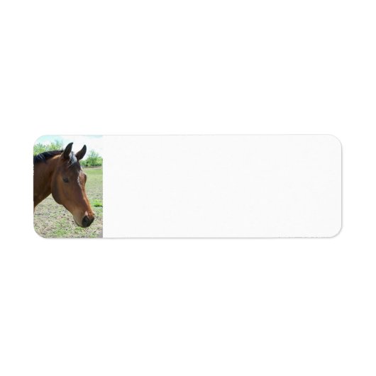 私の友人、馬パーソナライズされた- ラベル (正面)