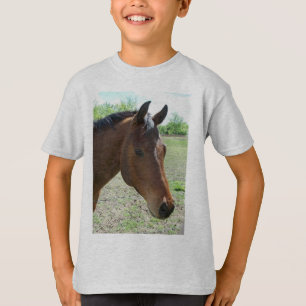 私の友人、馬 Tシャツ