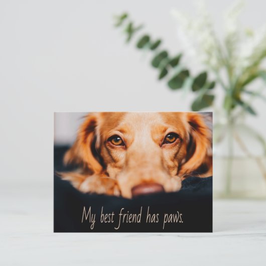 私の友最高の人は、犬の犬を手に子犬ミーム ポストカード (スタンド正面)