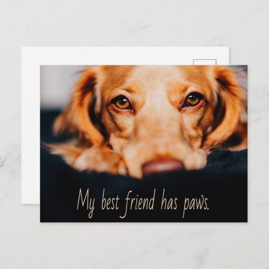 私の友最高の人は、犬の犬を手に子犬ミーム ポストカード (正面/裏面)