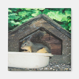 私の友達..... マグネット