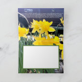 私の古いトラックのグリーティングカードでDaffodil、感謝 カード (内部)