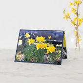 私の古いトラックのグリーティングカードでDaffodil、感謝 カード (黄色い花)