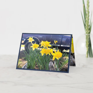 私の古いトラックのグリーティングカードでDaffodil、感謝 カード