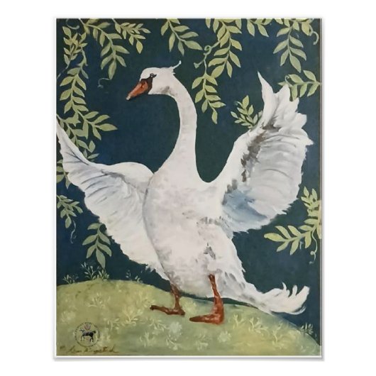 私の可愛い白鳥 フォトプリント            (正面)