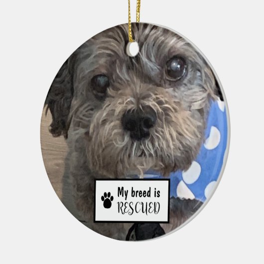 私の品種はペットの写真を救出された セラミックオーナメント (左)